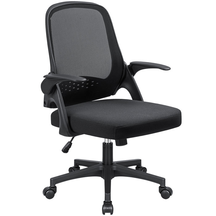 Inbox Zero Hane Ergonomic Mesh Task Chair & Reviews Wayfair